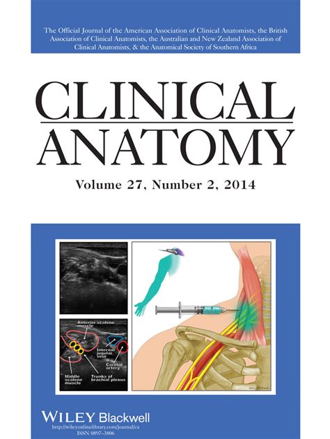 Full Download Clinically Oriented Anatomy 7Th Edition 