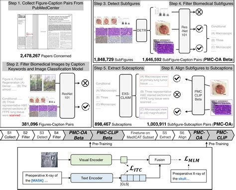 clip pmc | Video truyn hnh PMC