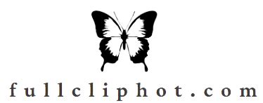 clipphot | Clip Pht l hiu lnh ca CSGT