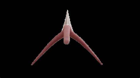 clitoris nude