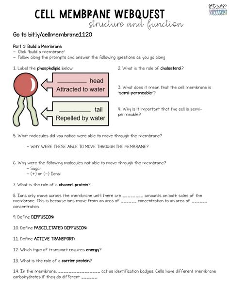 Cloning Webquest Answer Key