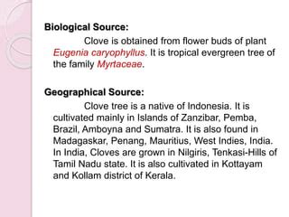Clove Biological Source