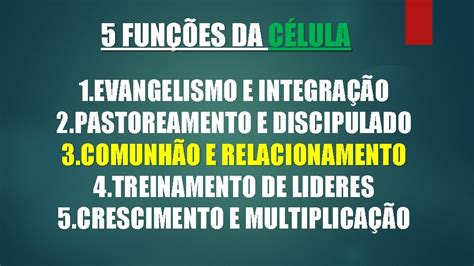 Célula Da Igreja