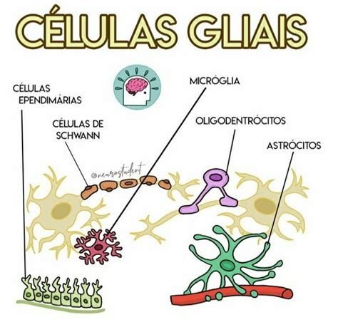 Células Da Glia