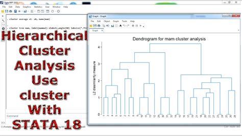 Cluster Analysis In Stata