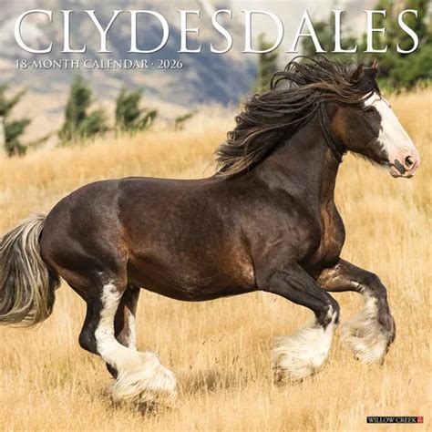 Clydesdales 2018 12 X 12 Inch Monthly Square Wall Calendar Animals Horses Multilingual Edition