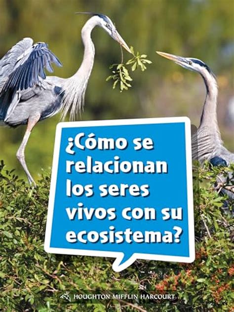 Cómo Se Relacionan