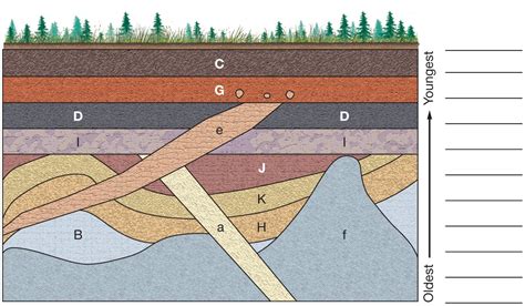 cmost sedimentary rocks are readily dated by radiometric methods.