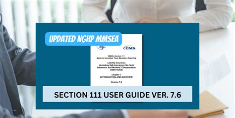 Read Cms User Guide Section 111 