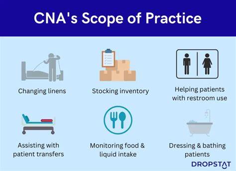 Cna Scope Of Practice In Illinois Mvapyip