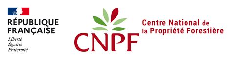 campobet: Aposte nas Melhores Apostas Desportivas Online e Fique Tranquilo com a Proteção de Fundos - Foto 2