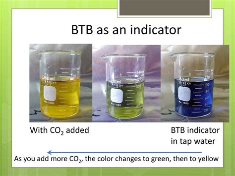 Co2 Btb