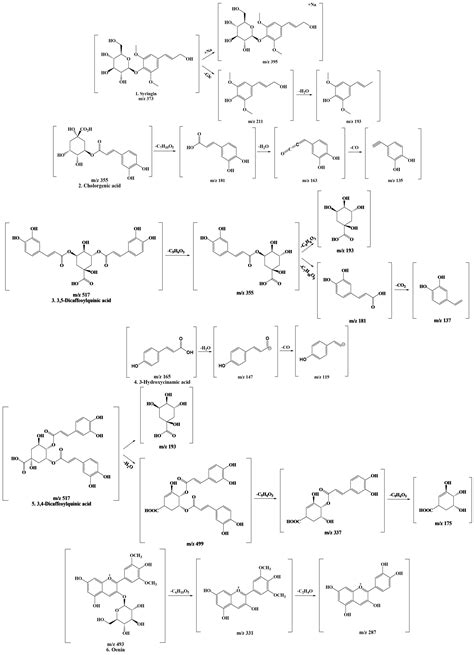 co2 ra c | CO 2 Cng G Ra C Khm