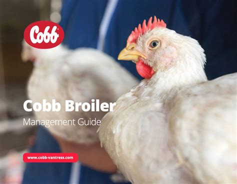 Cobb Broiler Management Guide