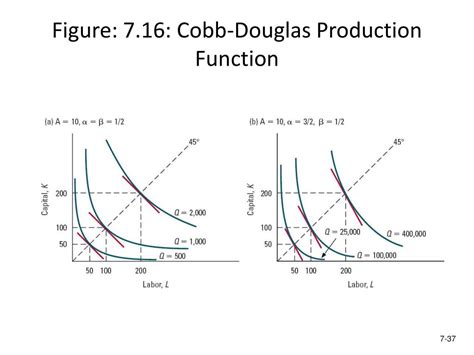 Cobb Douglas Function