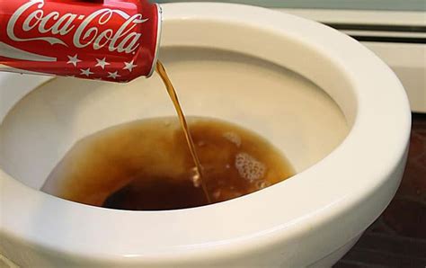 coca cola in wc pot