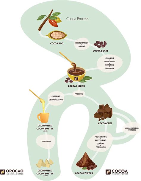 cocoa making process
