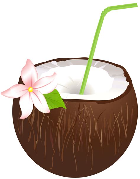 Coconut Drink Clipart