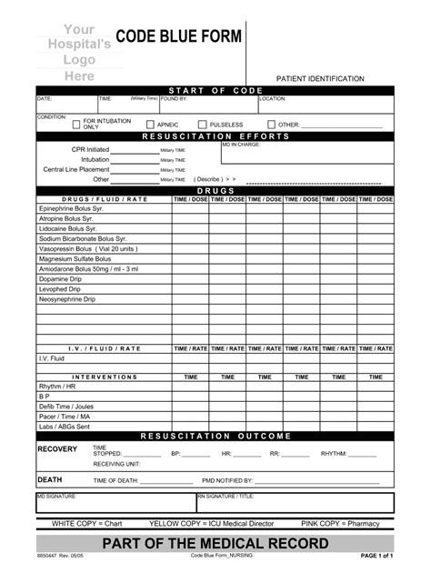 Code Blue Documentation Examples Pdf Practicamientras