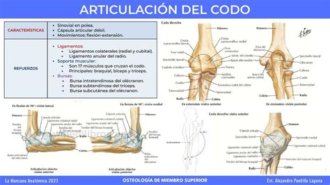 Codo A Codo Inscripción