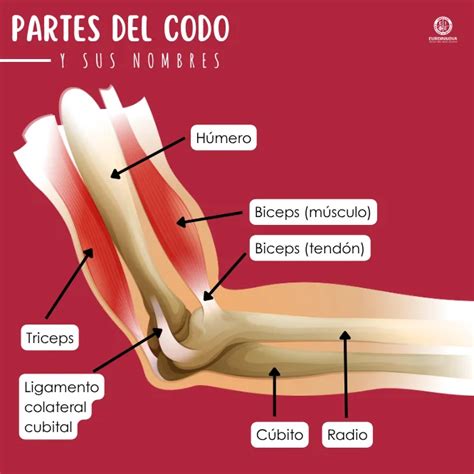 Codo De Niñera