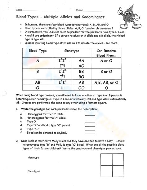 Codominance Blood Types Worksheet