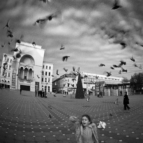 codrin lupei biography examples