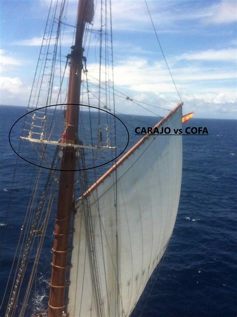 blackjack online: Apostando nas Melhores Apostas Desportivas Online com a Garantia de Segurança dos Fundos - Foto 2