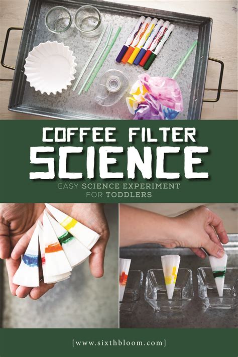 Coffee Filter Science Easy Science Experiment For Toddlers Coffee Science Experiments - Coffee Science Experiments