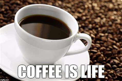 coffee is a lifestyle