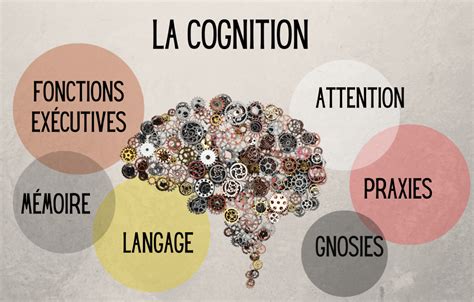 cognitie