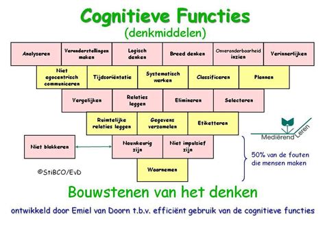 cognitieve functies voorbeelden