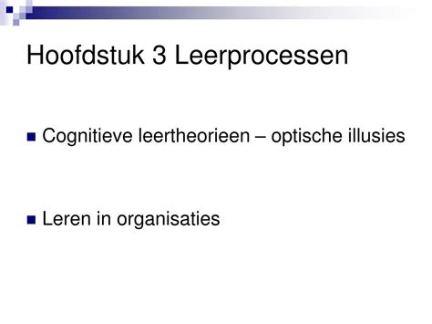 cognitieve leerprocessen