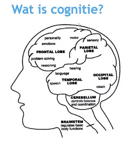 cognitieve problemen