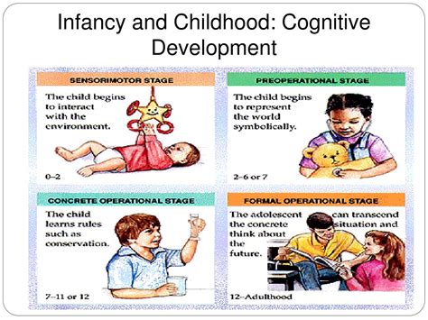 Cognitive Development Infancy Through Adolescence