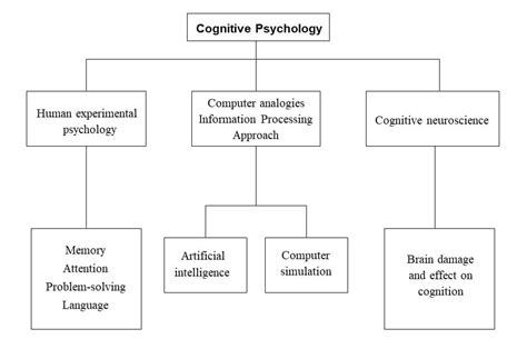 Read Cognitive Approach To The Analysis And Choice Of 