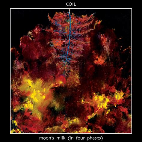 Coil Dais Moon's Milk