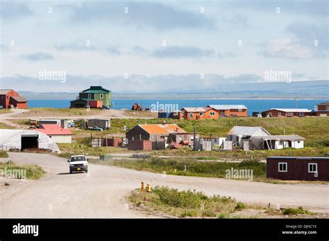 cold bay alaska