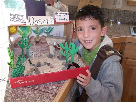 Cold Desert Plants Science Project Education Com Desert Science Experiments - Desert Science Experiments