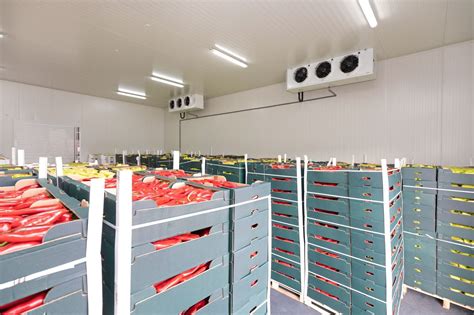 Cold Storage Project