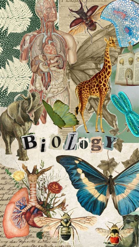 Collage De Biología