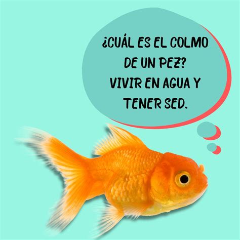 Colmos Para Niños