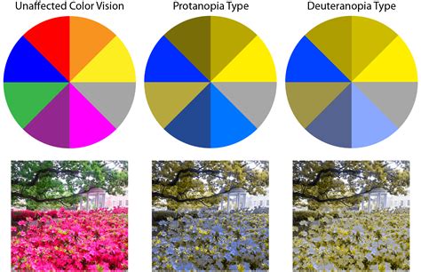 color blind types