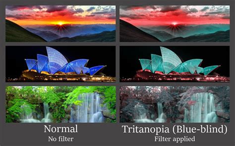 color blindness simulator