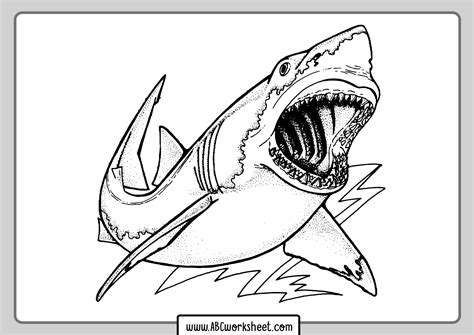 Color Catalog Great White Coloring Pages - Great White Coloring Pages