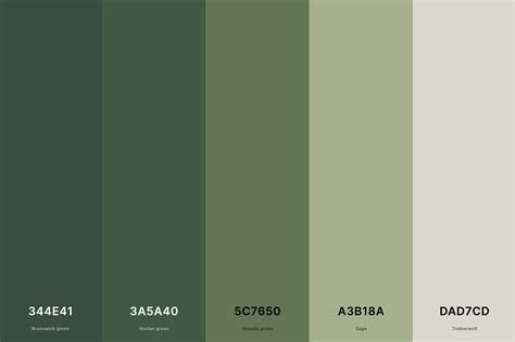 color code for sage green