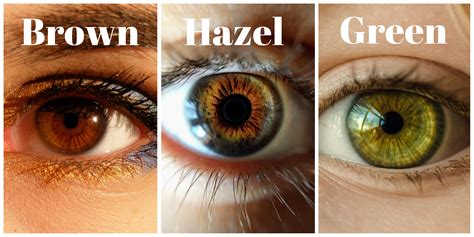 color hazel