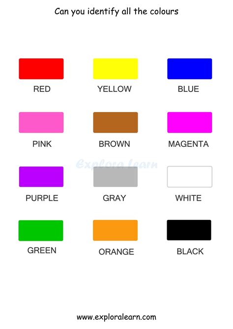 color identification