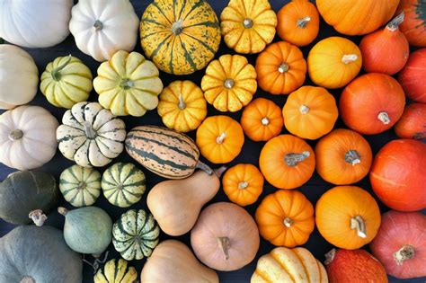 color in pumpkins