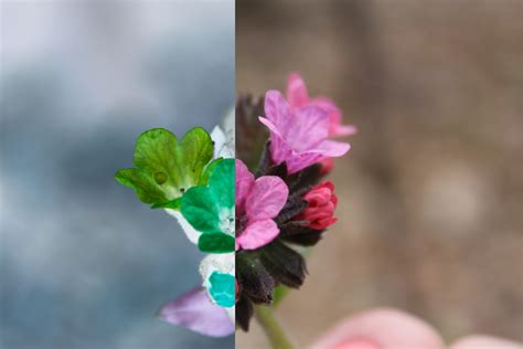 color inversion